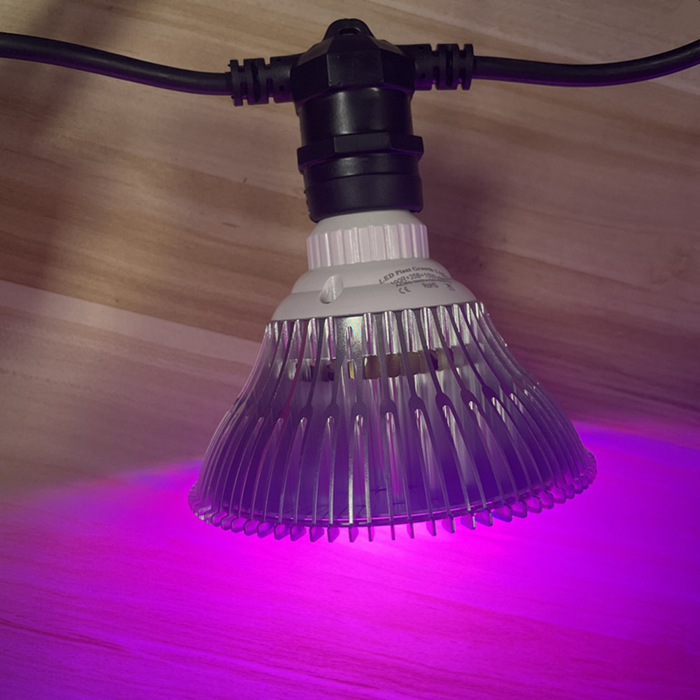 Cavo LED da 10 m, impermeabile - Outdoor Lighting Effects recensione e prezzo